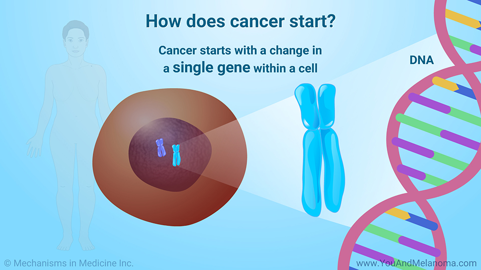 How does cancer start?